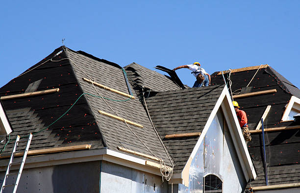 Roof Gutter Cleaning in Winchester, VA