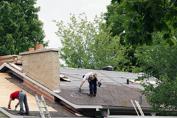Best Storm Damage Roof Repair  in Winchester, VA