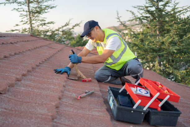 Best Metal Roofing Contractor  in Winchester, VA